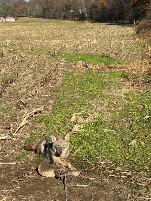 Name: 27925.jpg
Views: 1001
Size: 116.92 KB
ID: 27927 27925.jpg