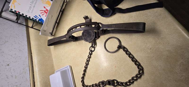 Name: 20251110_181239.jpg
Views: 165
Size: 35.19 KB
ID: 27977 20251110_181239.jpg