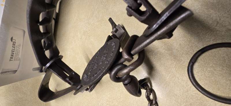 Name: 20251110_181256.jpg
Views: 165
Size: 33.46 KB
ID: 27978 20251110_181256.jpg