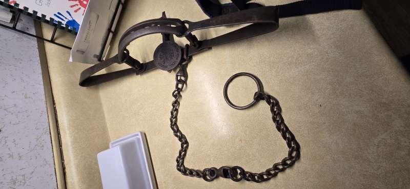 Name: 20251110_181309.jpg
Views: 164
Size: 34.69 KB
ID: 27979 20251110_181309.jpg