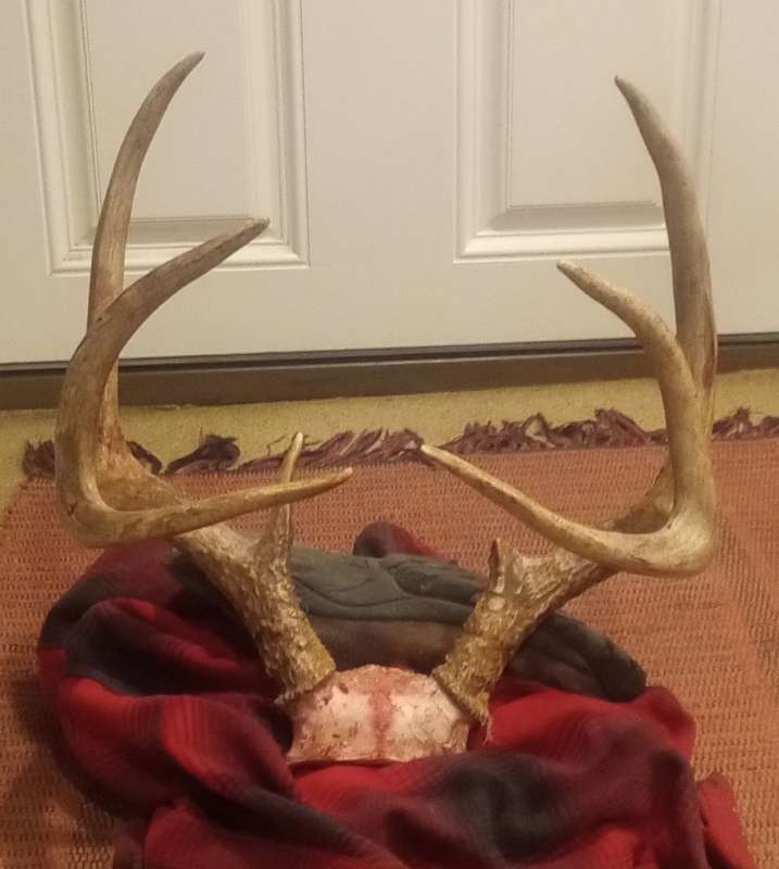 Name: IMG_20251115_191632605~3.jpg
Views: 341
Size: 44.3 KB
ID: 28009 IMG_20251115_191632605~3.jpg