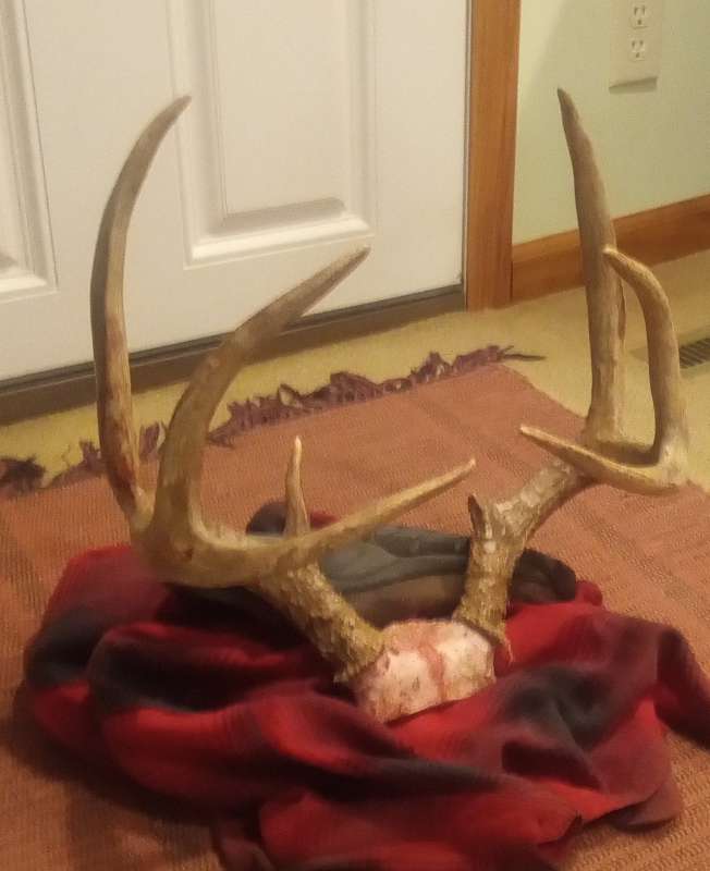 Name: IMG_20251115_191644906~3.jpg
Views: 339
Size: 35.88 KB
ID: 28010 IMG_20251115_191644906~3.jpg