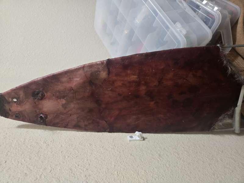 Name: 20251018_232859.jpg
Views: 95
Size: 36.49 KB
ID: 28029 20251018_232859.jpg