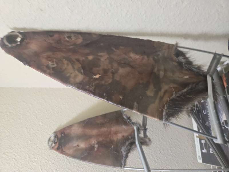 Name: 20251018_232904.jpg
Views: 95
Size: 35.7 KB
ID: 28031 20251018_232904.jpg