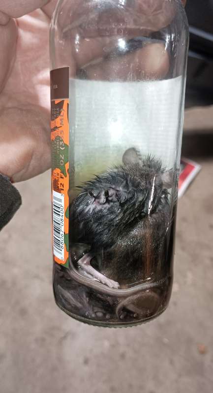 Name: IMG_20251119_183922366.jpg
Views: 367
Size: 32.14 KB
ID: 28039 IMG_20251119_183922366.jpg