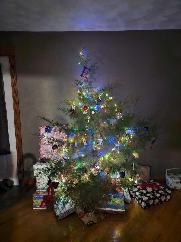 Name: IMG_20241213_195939.jpg
Views: 47
Size: 44.71 KB
ID: 28068 IMG_20241213_195939.jpg