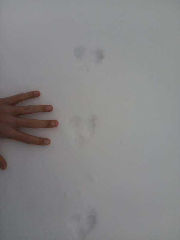 Name: IMG_20251209_125731772.jpg
Views: 950
Size: 11.18 KB
ID: 28129 IMG_20251209_125731772.jpg