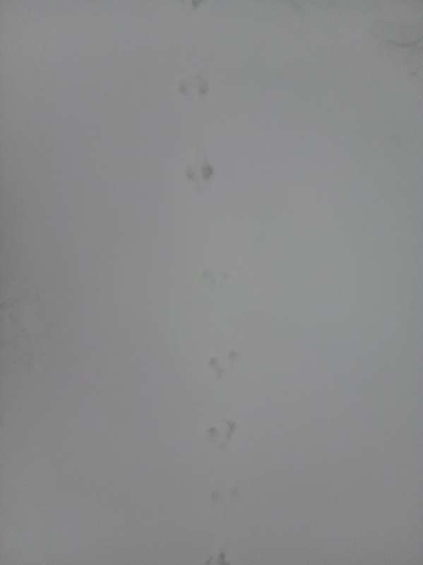 Name: IMG_20251209_125741393.jpg
Views: 945
Size: 9.22 KB
ID: 28130 IMG_20251209_125741393.jpg