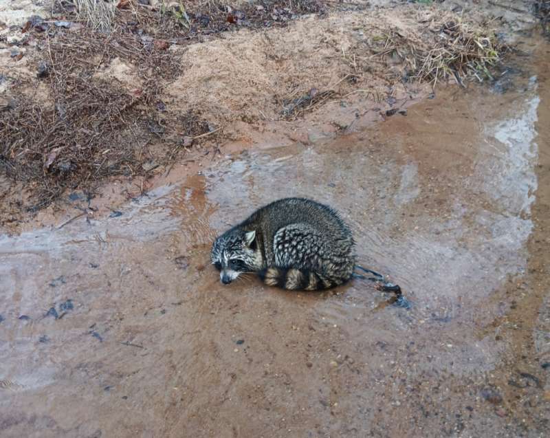 Name: Screenshot_20251214_140409_Gallery.jpg
Views: 1128
Size: 79.52 KB
ID: 28152 Screenshot_20251214_140409_Gallery.jpg