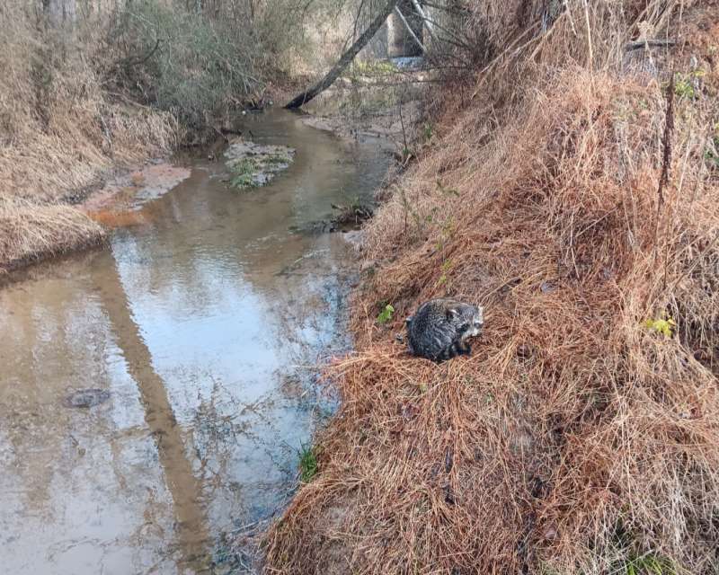 Name: Screenshot_20251214_140557_Gallery.jpg
Views: 1115
Size: 105.26 KB
ID: 28153 Screenshot_20251214_140557_Gallery.jpg