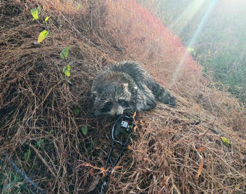 Name: Screenshot_20251214_140546_Gallery.jpg
Views: 1113
Size: 105.37 KB
ID: 28154 Screenshot_20251214_140546_Gallery.jpg