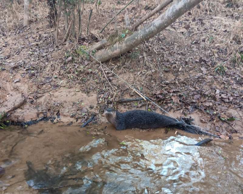 Name: Screenshot_20251214_140312_Gallery.jpg
Views: 1111
Size: 95.55 KB
ID: 28158 Screenshot_20251214_140312_Gallery.jpg