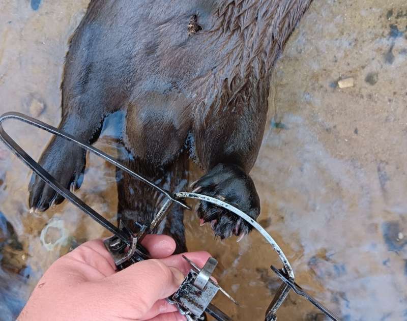 Name: Screenshot_20251214_140344_Gallery.jpg
Views: 1106
Size: 62.76 KB
ID: 28159 Screenshot_20251214_140344_Gallery.jpg