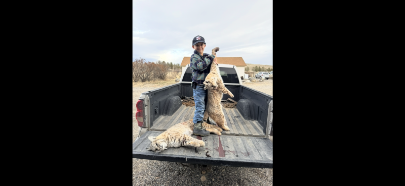 Name: IMG_0291.png
Views: 423
Size: 202.01 KB
ID: 28247 IMG_0291.png