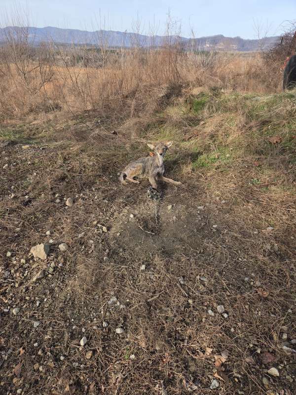 Name: IMG-20260102-WA0021.jpg
Views: 520
Size: 112.74 KB
ID: 28278 IMG-20260102-WA0021.jpg