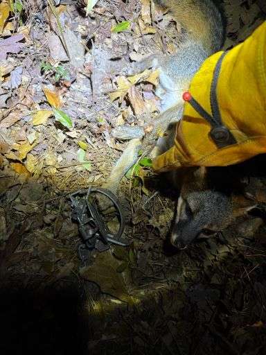 Name: IMG_1035(1).jpg
Views: 80
Size: 38.76 KB
ID: 28352 IMG_1035(1).jpg