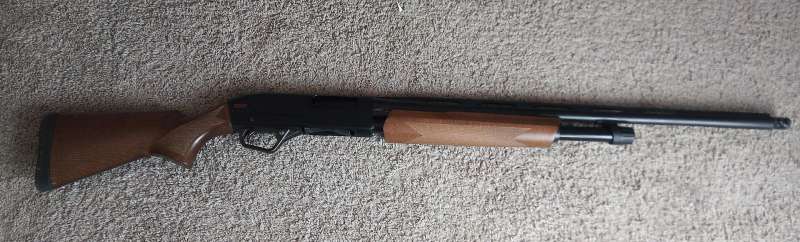 Name: SXP.jpg
Views: 17
Size: 42.86 KB
ID: 28411 SXP.jpg