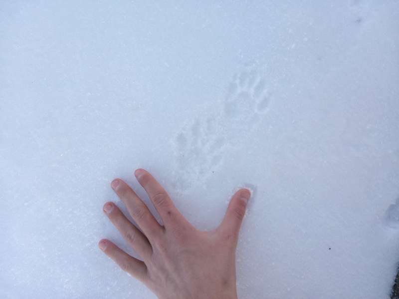 Name: fisher.jpg
Views: 471
Size: 20.44 KB
ID: 28413 fisher.jpg