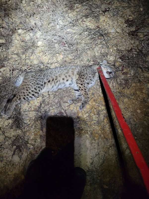 Name: 20260116_194731.jpg
Views: 27
Size: 74.85 KB
ID: 28504 20260116_194731.jpg