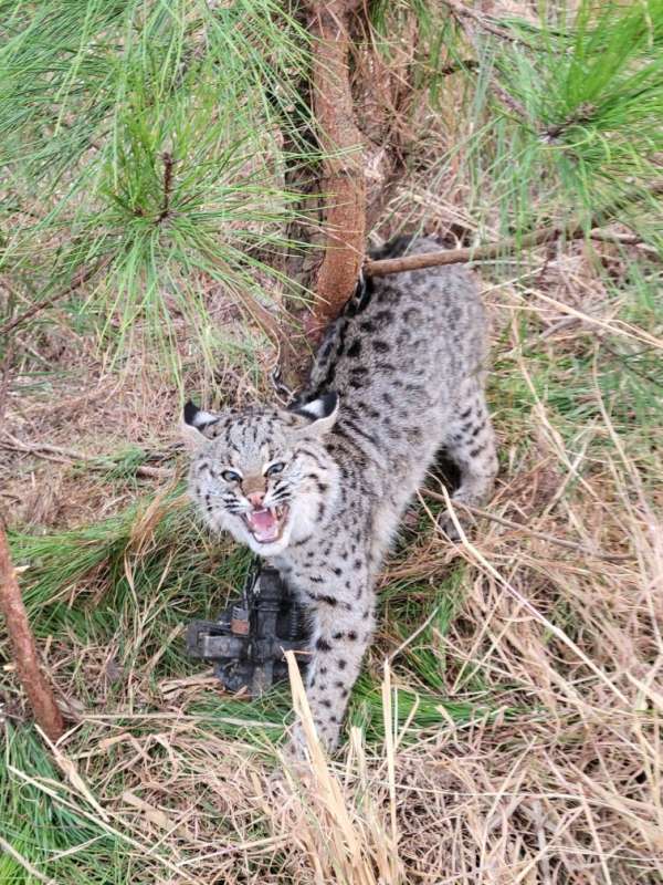 Name: 20251216_161744.jpg
Views: 27
Size: 106.65 KB
ID: 28505 20251216_161744.jpg