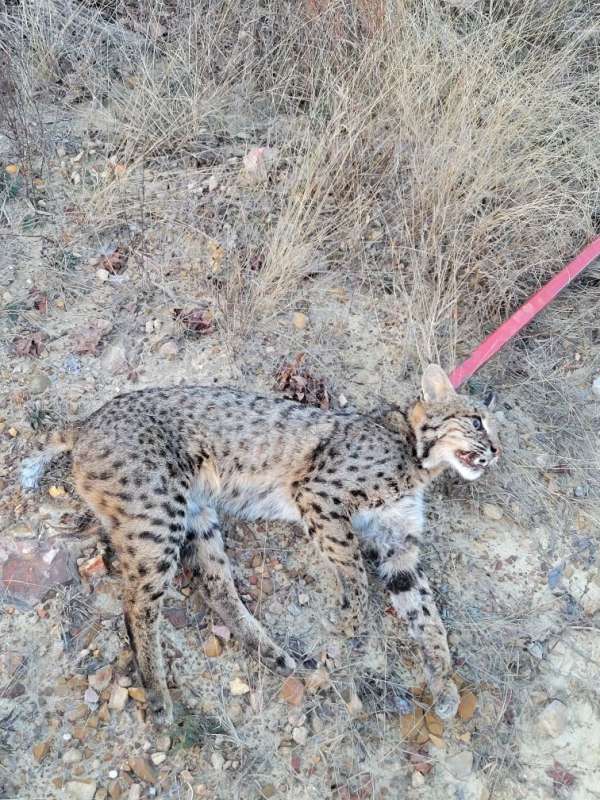 Name: 20260115_171242.jpg
Views: 27
Size: 105.88 KB
ID: 28506 20260115_171242.jpg