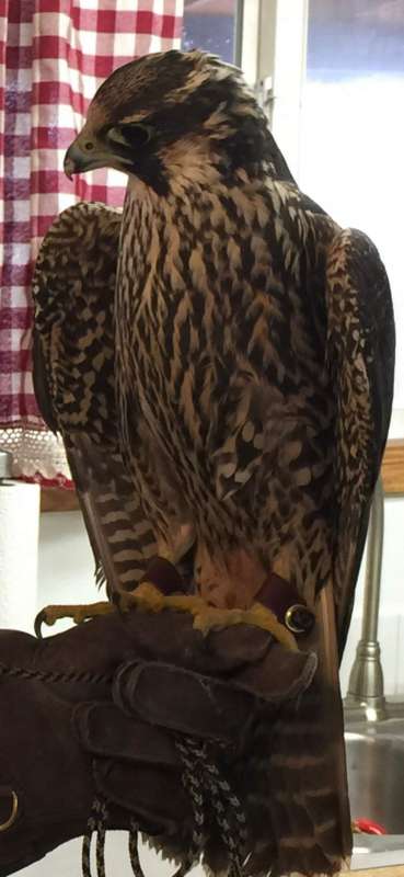 Name: IMG_2857.jpg
Views: 437
Size: 33.31 KB
ID: 28529 IMG_2857.jpg