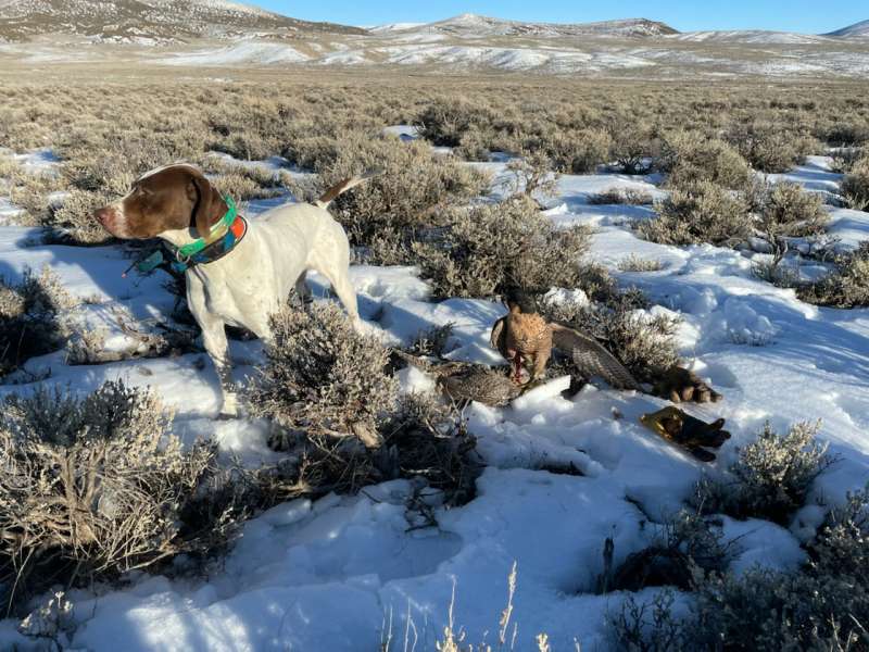 Name: IMG_2851.jpg
Views: 435
Size: 86.03 KB
ID: 28530 IMG_2851.jpg