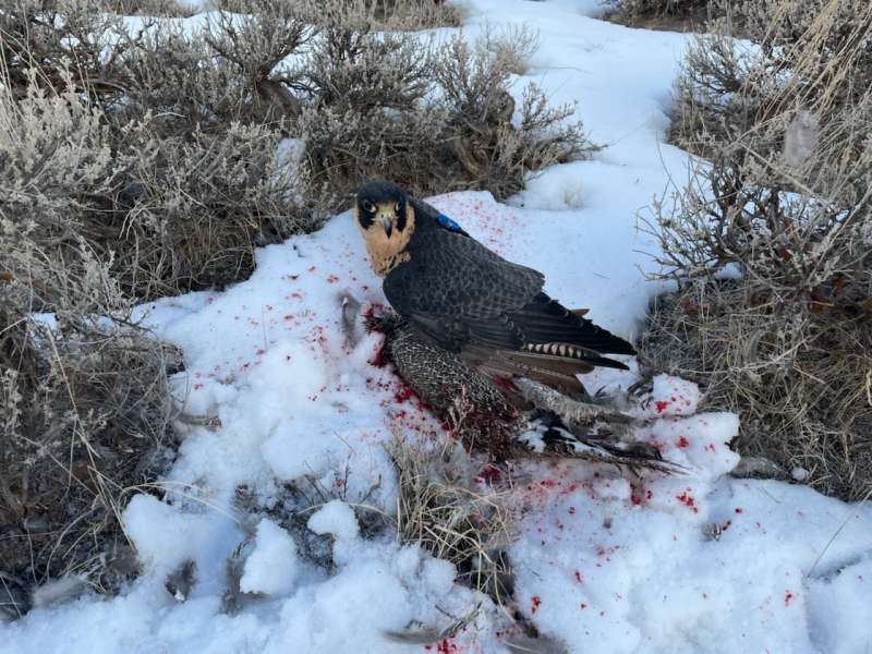 Name: IMG_2831.jpg
Views: 435
Size: 85.91 KB
ID: 28531 IMG_2831.jpg