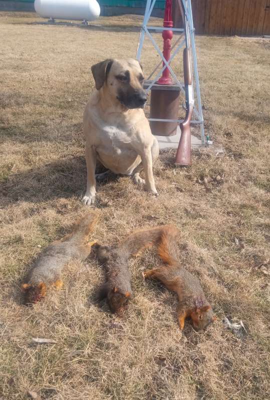 Name: IMG_20260208_123035004.jpg
Views: 826
Size: 84.02 KB
ID: 28573 IMG_20260208_123035004.jpg