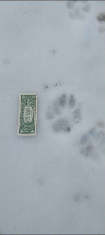 Name: Screenshot_20260216_143505_Gallery.jpg
Views: 176
Size: 11.97 KB
ID: 28671 Screenshot_20260216_143505_Gallery.jpg