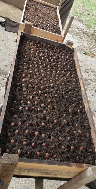 Name: 20241111_225823.jpg
Views: 133
Size: 73.77 KB
ID: 28701 20241111_225823.jpg