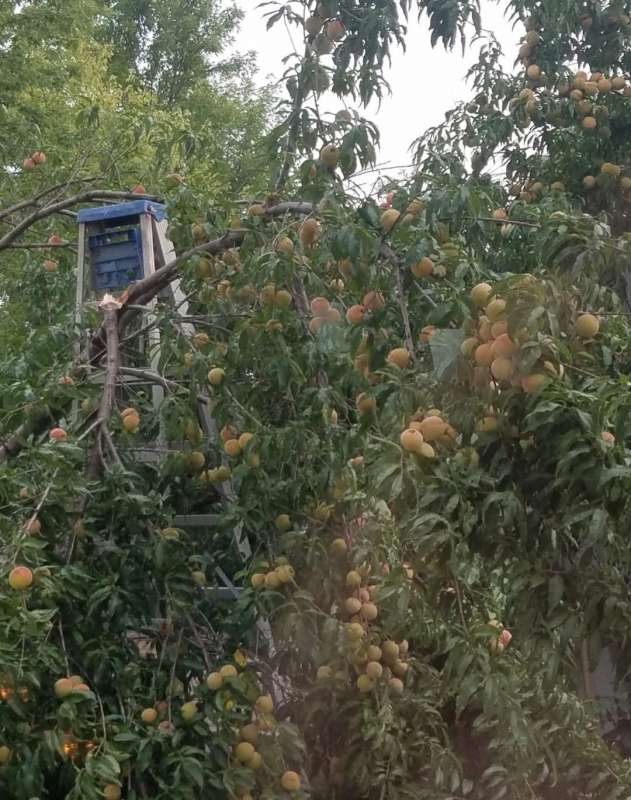 Name: FB_IMG_1758585100505.jpg
Views: 132
Size: 80.68 KB
ID: 28702 FB_IMG_1758585100505.jpg