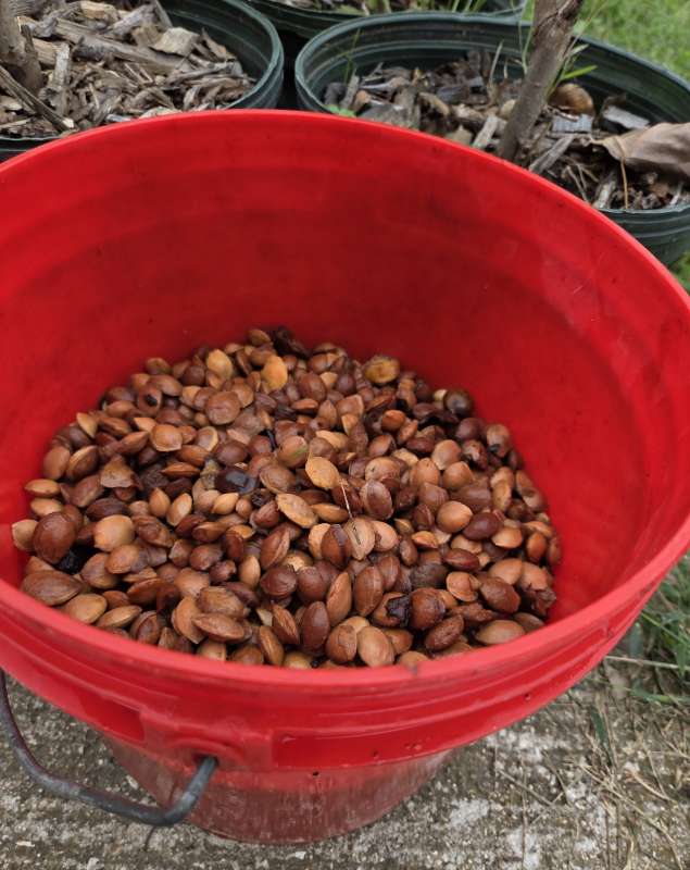 Name: 20250919_134658.jpg
Views: 132
Size: 62.14 KB
ID: 28703 20250919_134658.jpg