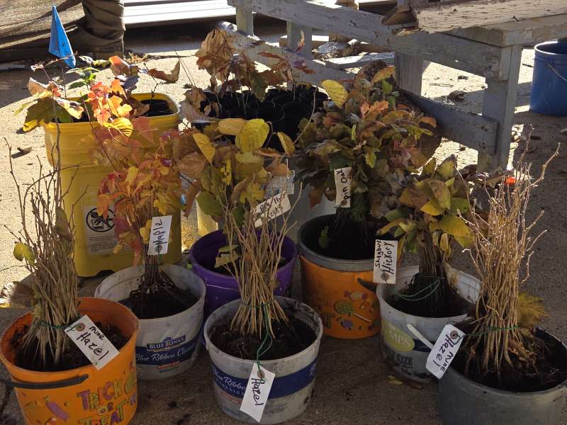 Name: 20251107_151706.jpg
Views: 131
Size: 79.53 KB
ID: 28704 20251107_151706.jpg