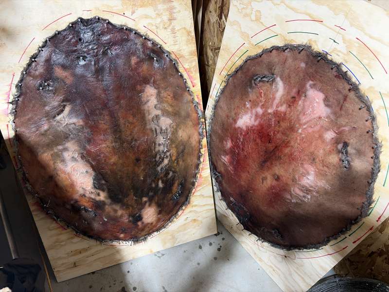 Name: image.jpg
Views: 172
Size: 69.56 KB
ID: 28886 image.jpg