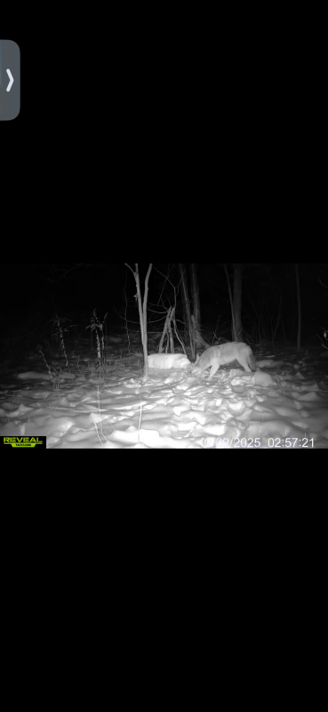 Name: IMG_6953.png
Views: 162
Size: 74.97 KB
ID: 29246 IMG_6953.png