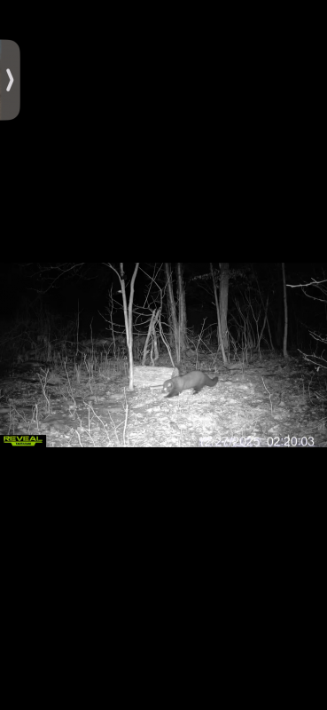 Name: IMG_6954.png
Views: 161
Size: 99.17 KB
ID: 29247 IMG_6954.png