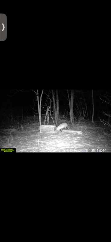 Name: IMG_6955.png
Views: 161
Size: 88.1 KB
ID: 29248 IMG_6955.png