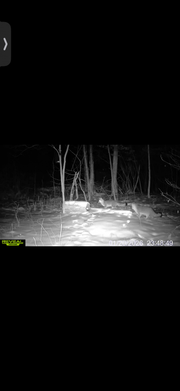 Name: IMG_6956.png
Views: 162
Size: 82.51 KB
ID: 29249 IMG_6956.png