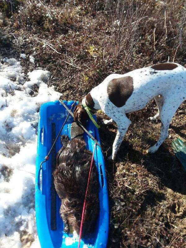 Name: Resized952019031295161718(1).jpg
Views: 397
Size: 114.96 KB
ID: 6265 Resized952019031295161718(1).jpg